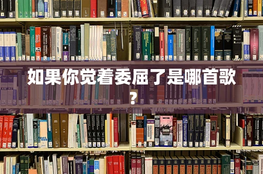 如果你觉着委屈了是哪首歌？