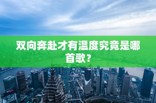 双向奔赴才有温度究竟是哪首歌？