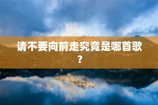 请不要向前走究竟是哪首歌？