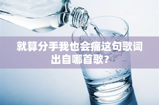 就算分手我也会痛这句歌词出自哪首歌？