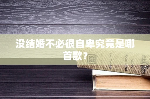 没结婚不必很自卑究竟是哪首歌？