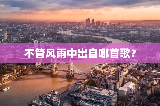 不管风雨中出自哪首歌？