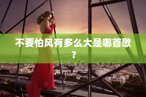 不要怕风有多么大是哪首歌？