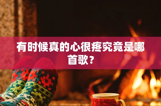 有时候真的心很疼究竟是哪首歌？
