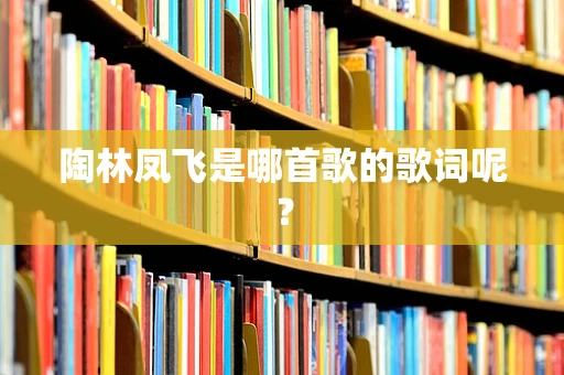 陶林凤飞是哪首歌的歌词呢？