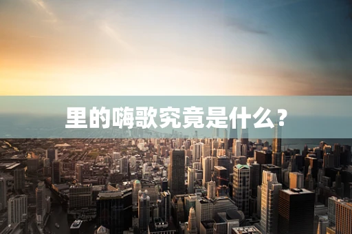 里的嗨歌究竟是什么？