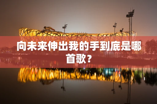 向未来伸出我的手到底是哪首歌？