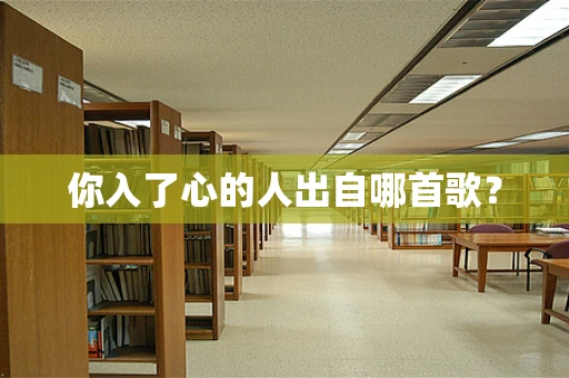 你入了心的人出自哪首歌？