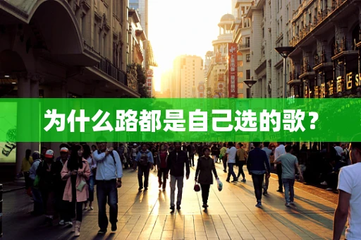 为什么路都是自己选的歌？