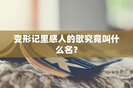 变形记里感人的歌究竟叫什么名？