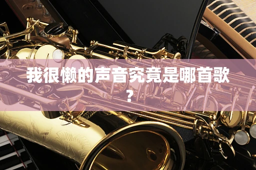 我很懒的声音究竟是哪首歌？