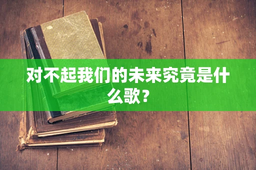 对不起我们的未来究竟是什么歌？