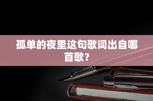 孤单的夜里这句歌词出自哪首歌？