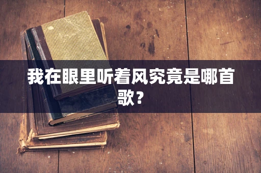 我在眼里听着风究竟是哪首歌？