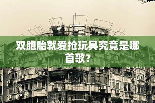 双胞胎就爱抢玩具究竟是哪首歌？