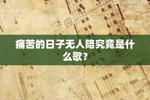 痛苦的日子无人陪究竟是什么歌？