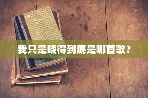我只是晓得到底是哪首歌？