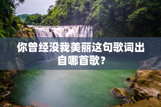 你曾经没我美丽这句歌词出自哪首歌？