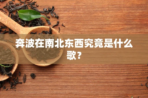 奔波在南北东西究竟是什么歌？