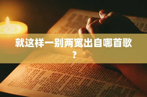 就这样一别两宽出自哪首歌？