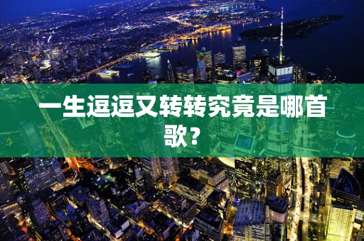 一生逗逗又转转究竟是哪首歌？