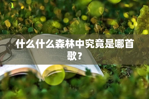 什么什么森林中究竟是哪首歌？