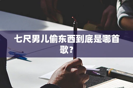 七尺男儿偷东西到底是哪首歌？