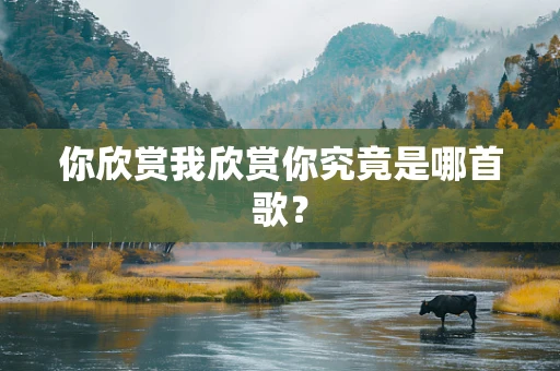 你欣赏我欣赏你究竟是哪首歌？