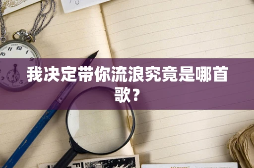 我决定带你流浪究竟是哪首歌？