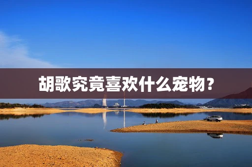 胡歌究竟喜欢什么宠物？
