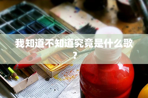 我知道不知道究竟是什么歌？