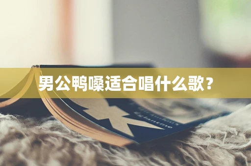 男公鸭嗓适合唱什么歌？