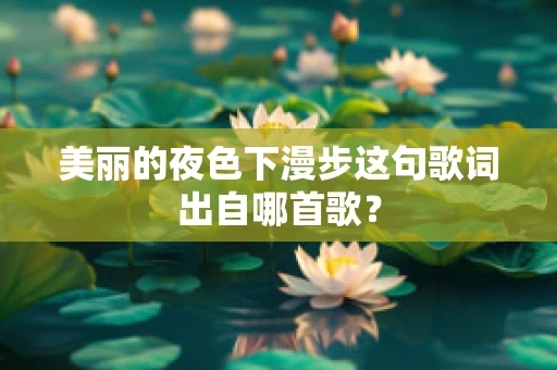 美丽的夜色下漫步这句歌词出自哪首歌？