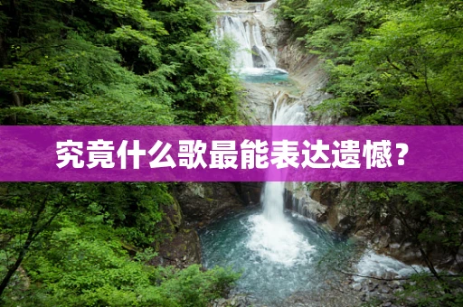 究竟什么歌最能表达遗憾？