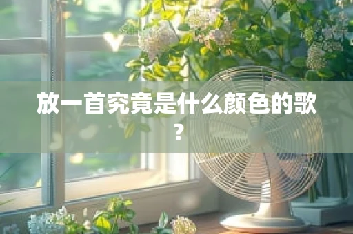 放一首究竟是什么颜色的歌？