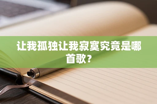 让我孤独让我寂寞究竟是哪首歌？