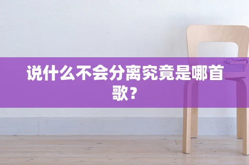 说什么不会分离究竟是哪首歌？