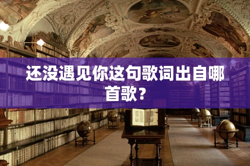 还没遇见你这句歌词出自哪首歌？