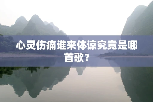 心灵伤痛谁来体谅究竟是哪首歌？