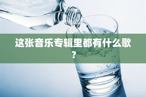 这张音乐专辑里都有什么歌？