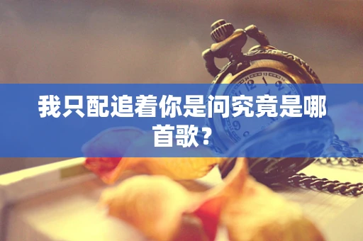 我只配追着你是问究竟是哪首歌？