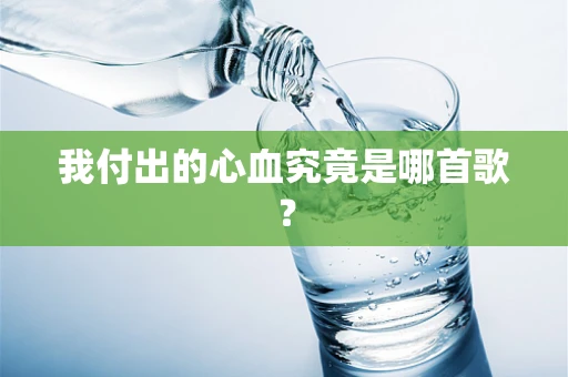 我付出的心血究竟是哪首歌？