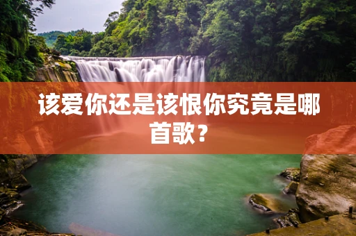 该爱你还是该恨你究竟是哪首歌？