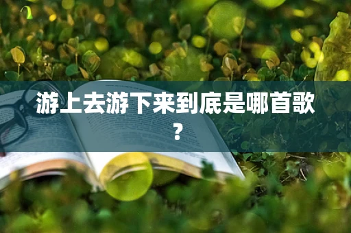 游上去游下来到底是哪首歌？