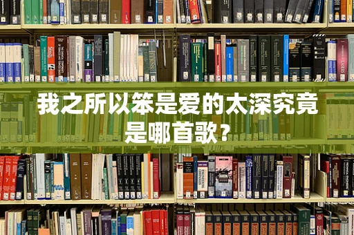 我之所以笨是爱的太深究竟是哪首歌？