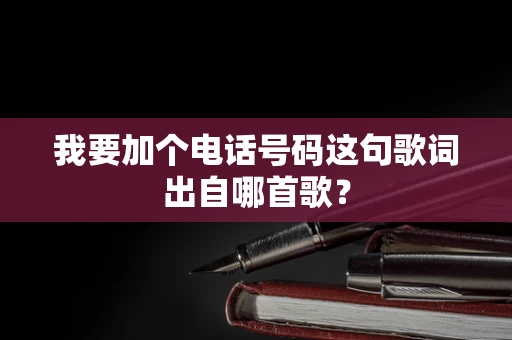 我要加个电话号码这句歌词出自哪首歌？