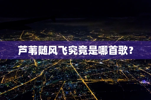 芦苇随风飞究竟是哪首歌？