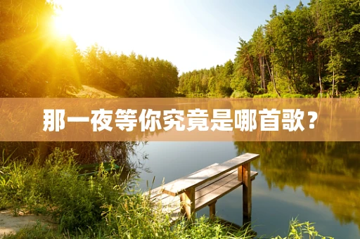 那一夜等你究竟是哪首歌？