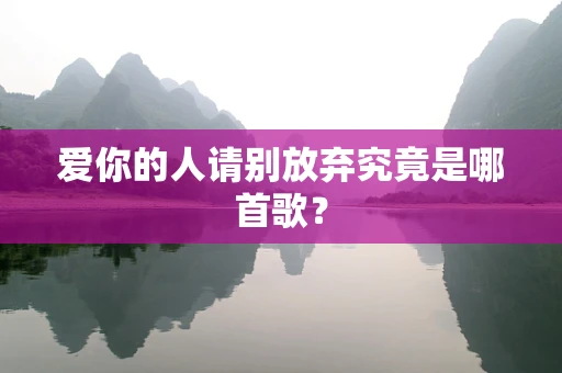 爱你的人请别放弃究竟是哪首歌？