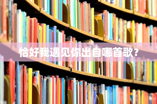 恰好我遇见你出自哪首歌？